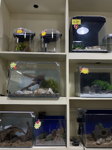 TNT Aquarium & Pets