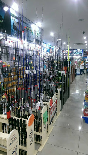 TCE Tackles Hijau Kuning