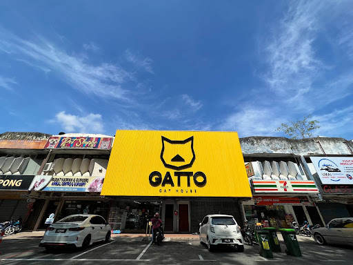 Gatto Cat House Pumpong