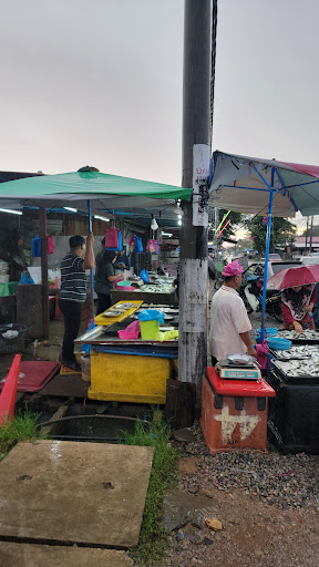 IMANI IKAN TEMENUNG SEGAR KUALA KEDAH