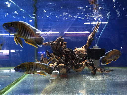 E-World Aquatic Sdn. Bhd.