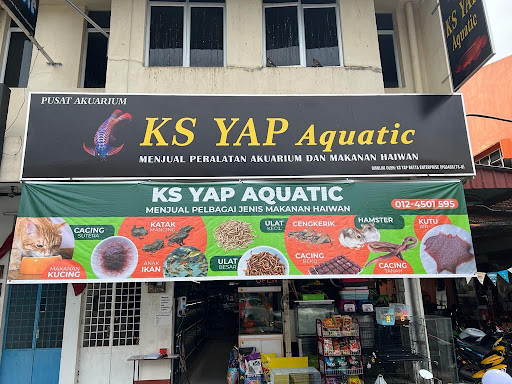 KS YAP Aquatic