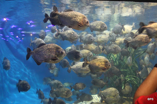 Underwater World Langkawi