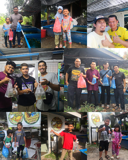 ALWAFI BETTA & GUPPY FARM