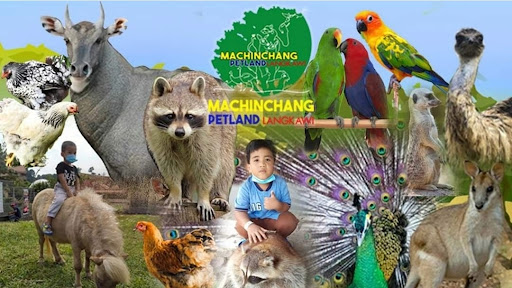 Machinchang PetLand Langkawi By ENR