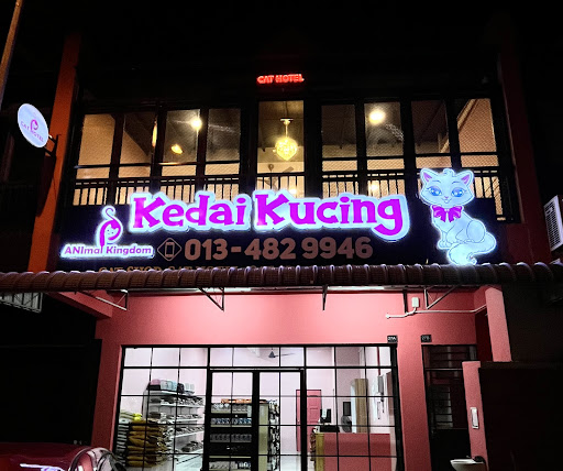 Kedai Kucing Animal Kingdom