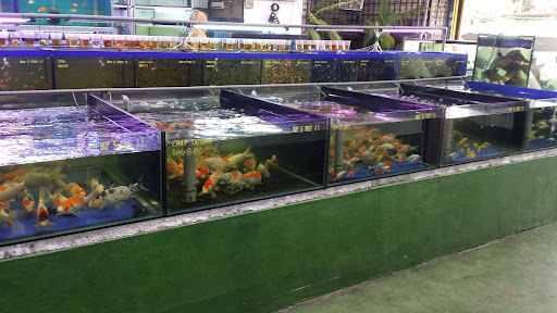Azam Aquarium Trading (M) Sdn Bhd