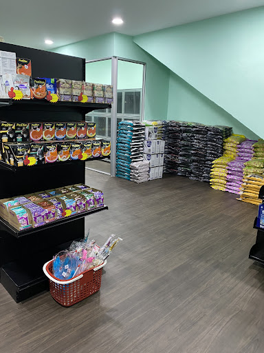 BIFILA PET SHOP X BIFILA PREMIUM CAT HOTEL & SPA