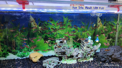 Kedai Akuarium Lai Man