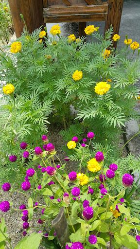 Kenari Indah Akuarium Trading