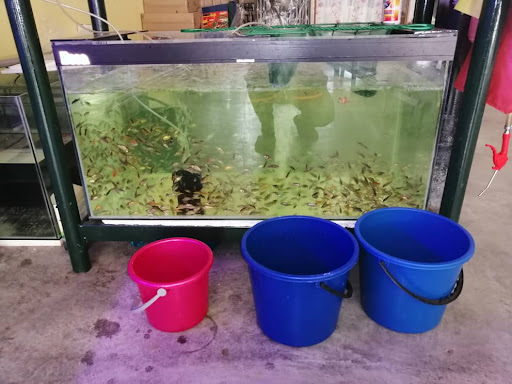 Pusat Akuarium AR Sabdin Sg Kob Karangan