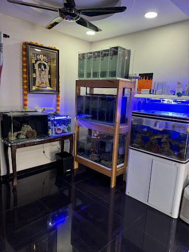 Universal Corals Saltwater and Freshwater Aquarium