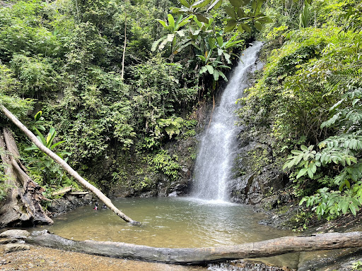 Durian Perangin Waterfall