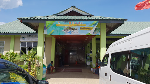 Langkawi Mangrove Tour