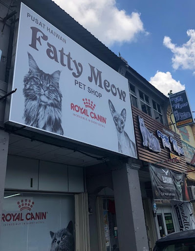 fatty meow petshop