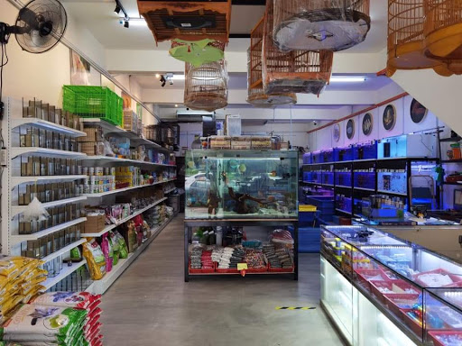 OCEAN PARADISE AQUARIUM & PET TRADING