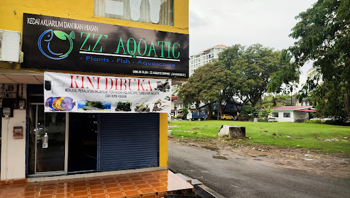 ZZ Aquatic