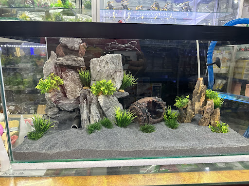 Fu Cheang Aquarium & Trading