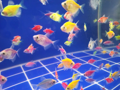 Akuarium Kuala Lumpur