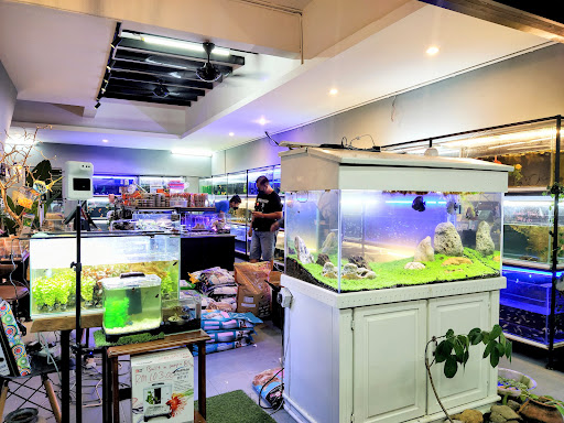 Fraquatic Aquarium & Pets