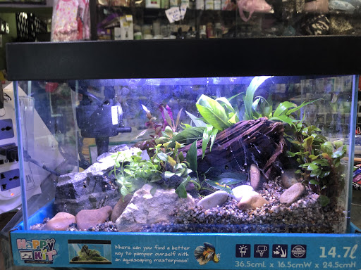 E-World Aquatic Sdn. Bhd.