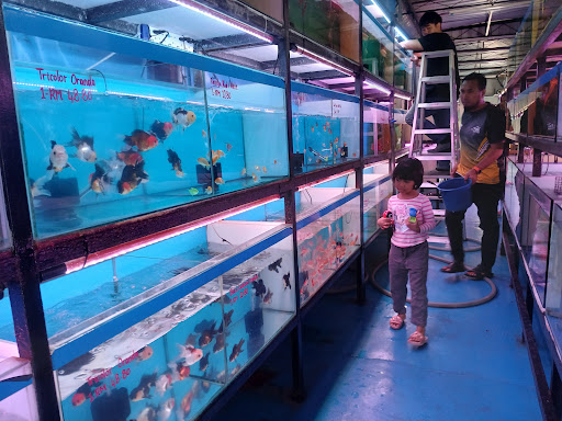 Alor Setar Aquarium