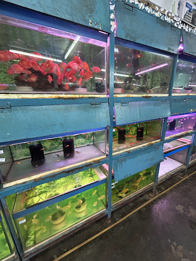 Ocean Aquarium Centre