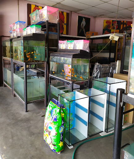 Kedai Ikan Hiasan Chempaka