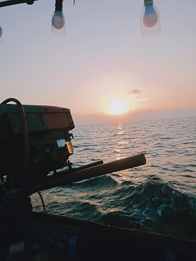 Keindahan Aquatik - Bekal Ikan Laga