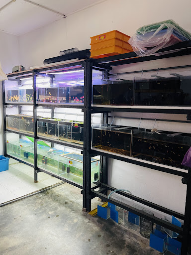 AF Aquatic & Pet Shop