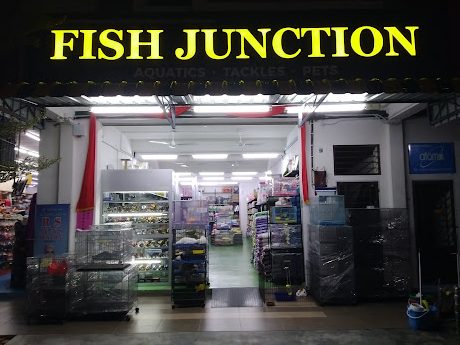 Fish Junction aquatics & tackles parit bakar 1 fish junction aquatics tackles parit bakar