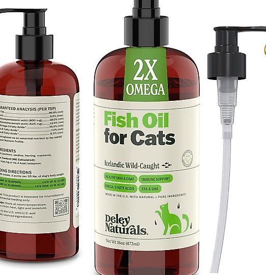 Fishoilcat Enterprise 1 fishoilcat enterprise