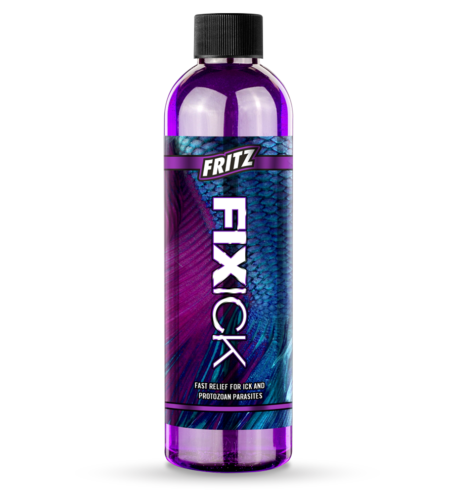 Fix Aquatics 1 fix aquatics