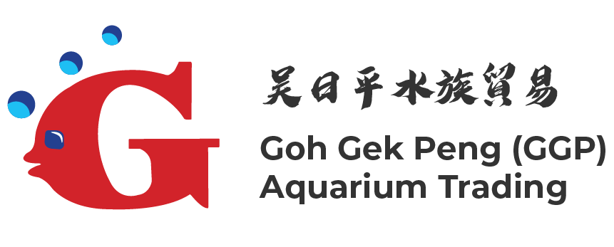 Goh Gek Peng Aquarium Trading 1 goh gek peng aquarium trading