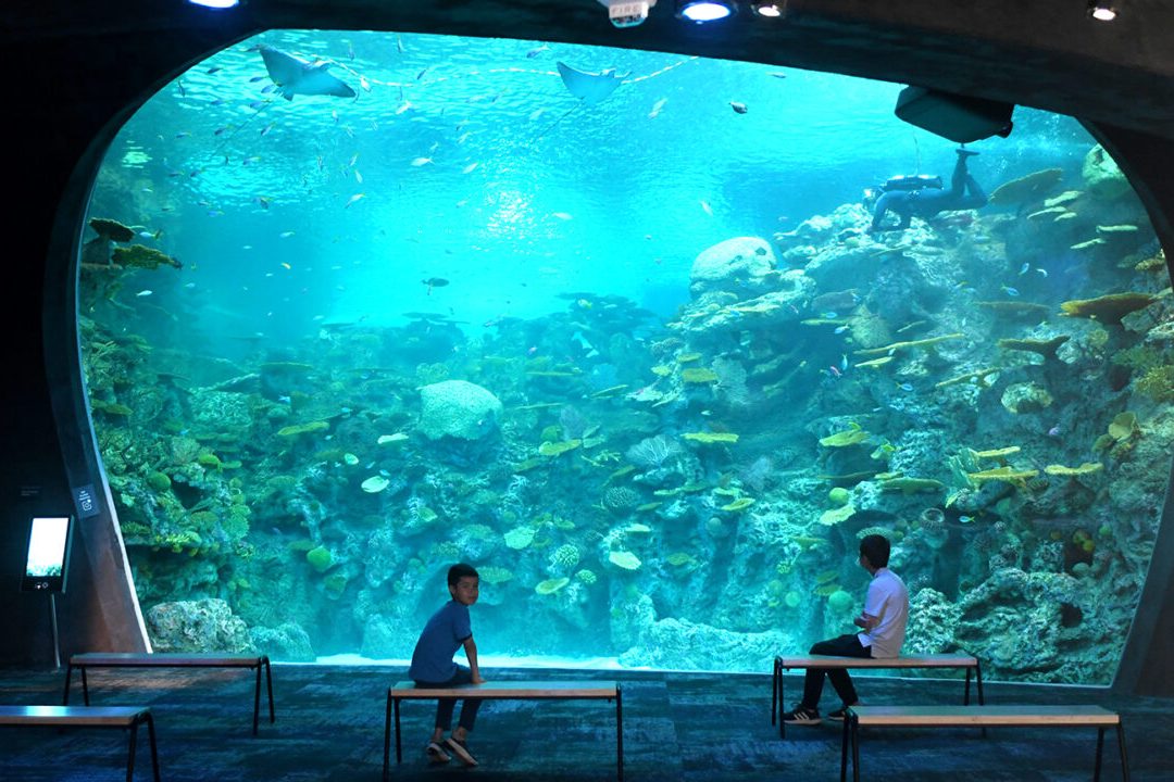 Good View Aquarium Centre 1 good view aquarium centre