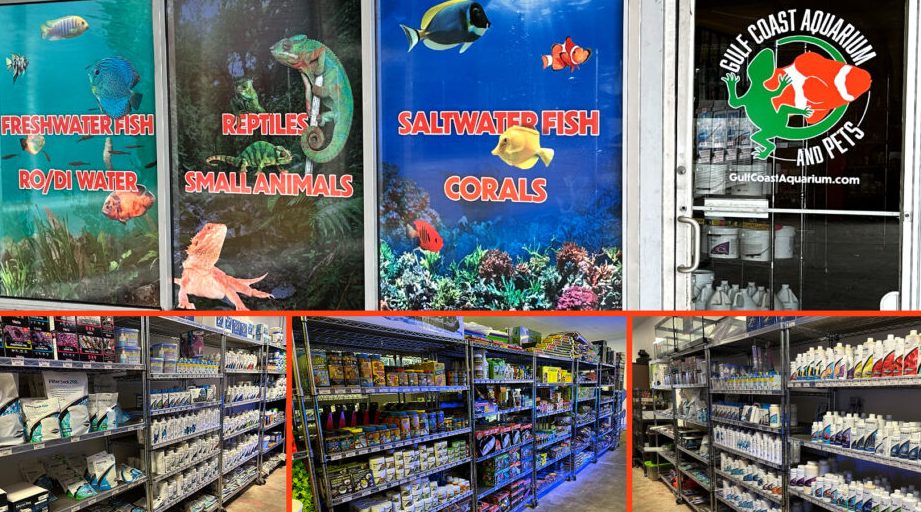 gp aquarium pets