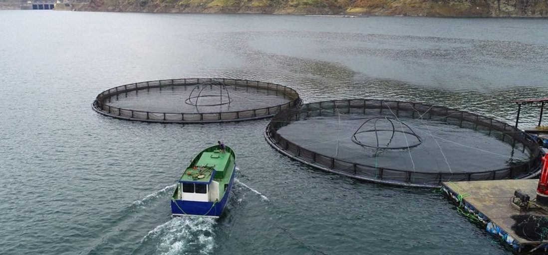 HGS FISHERY & AQUACULTURE SDN BHD 1 hgs fishery aquaculture sdn bhd