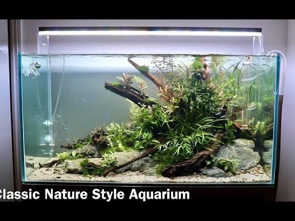 Home Aquascape 1 home aquascape