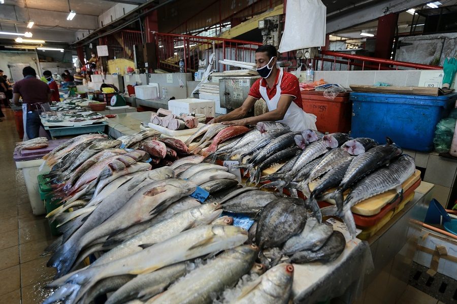 Jaya Ikan 卖鱼商 1 jaya ikan e58d96e9b1bce59586