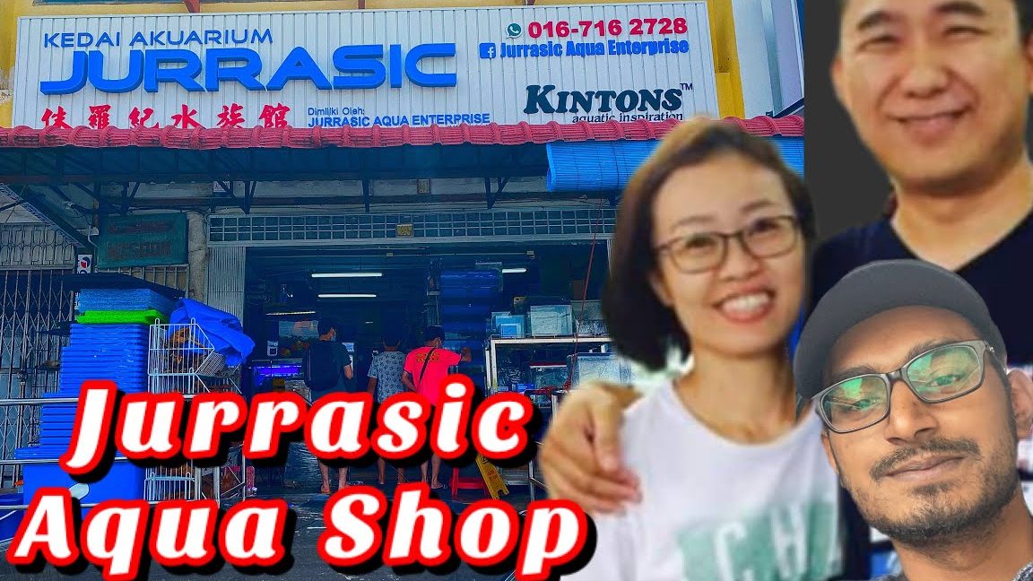 jurrasic aqua
