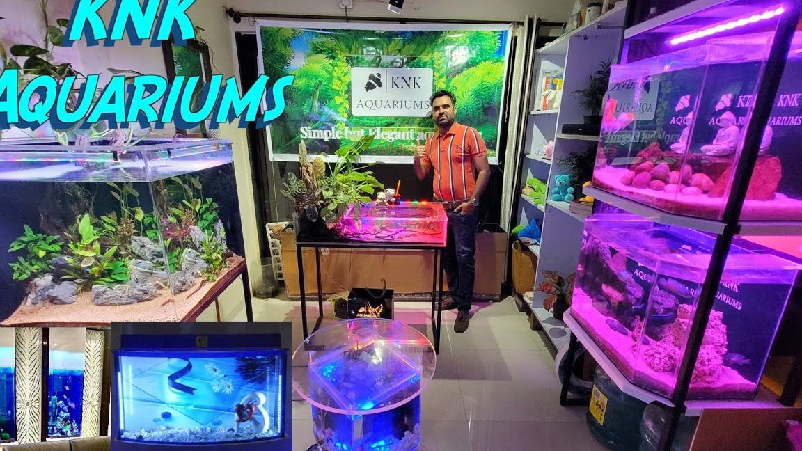 k k aquarium