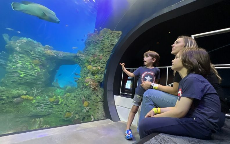 Kc Aquarium & Pets 1 kc aquarium pets