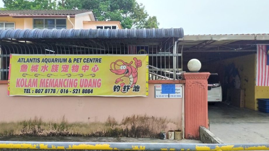 kedai akuarium di shuw aquarium pet centre