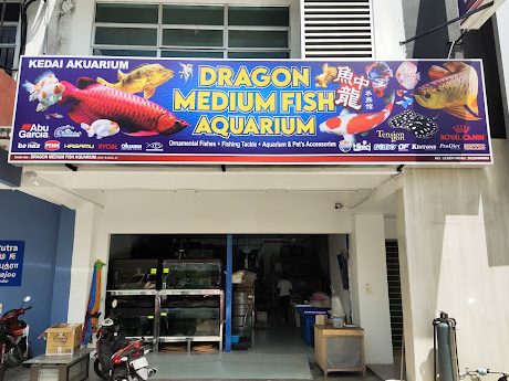 Kedai Akuarium Terbaik di Bintulu 1 kedai akuarium terbaik di bintulu 1
