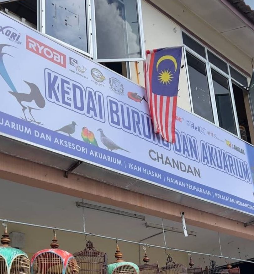 Kedai Akuarium Terbaik di Kuala Kangsar 1 kedai akuarium terbaik di kuala kangsar 1