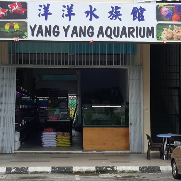 Kedai Akuarium Terbaik di Kuching 1 kedai akuarium terbaik di kuching 1