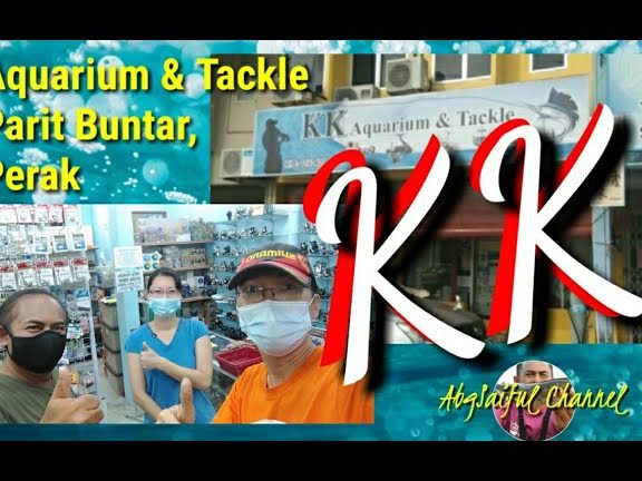 Kedai Akuarium Terbaik di Parit Buntar 1 kedai akuarium terbaik di parit buntar 1