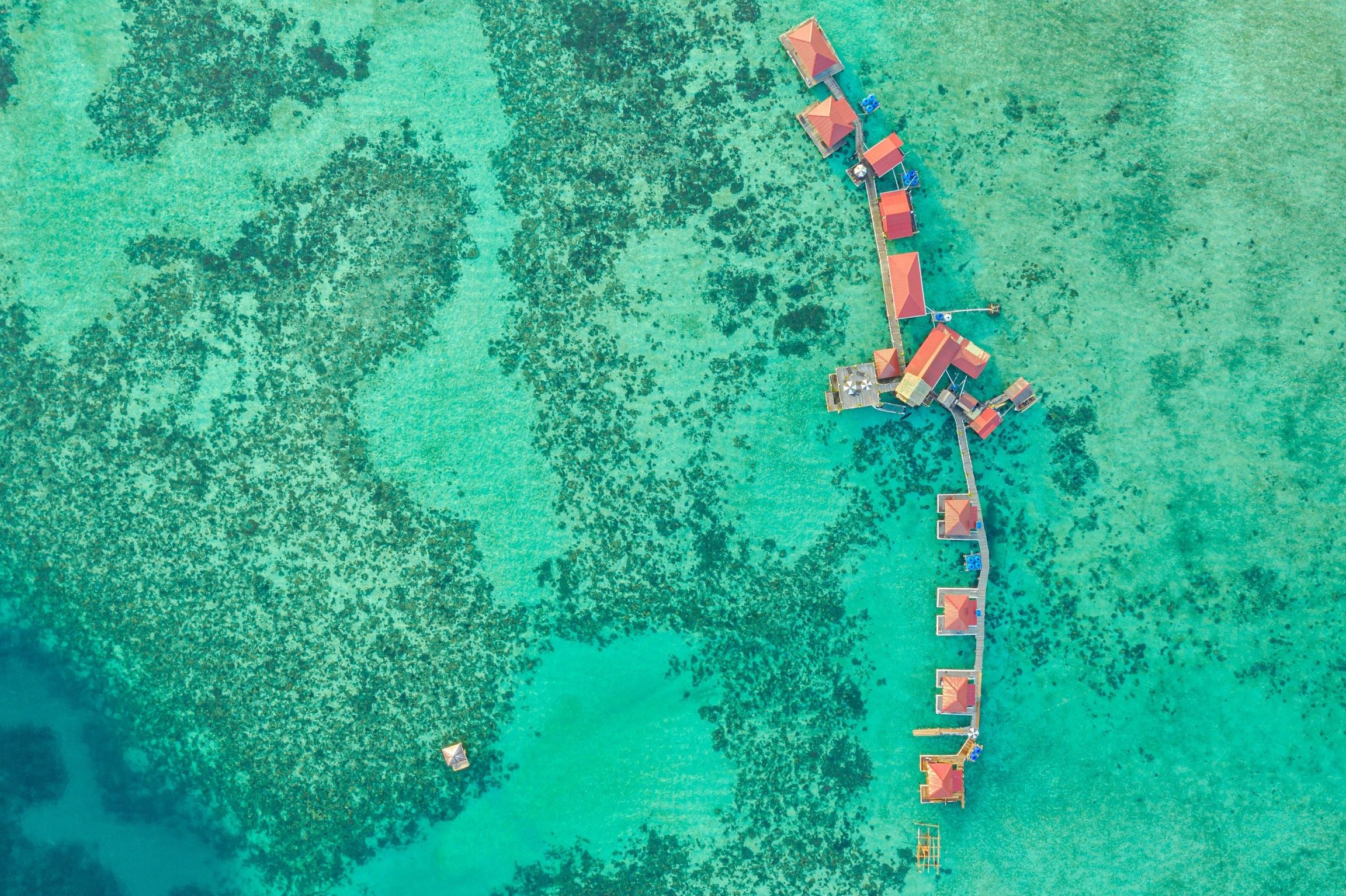 Kedai Akuarium Terbaik di Semporna 1 kedai akuarium terbaik di semporna 1