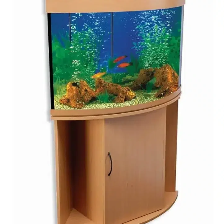 Kedai Akuarium Terbaik di Tawau 1 kedai akuarium terbaik di tawau 1