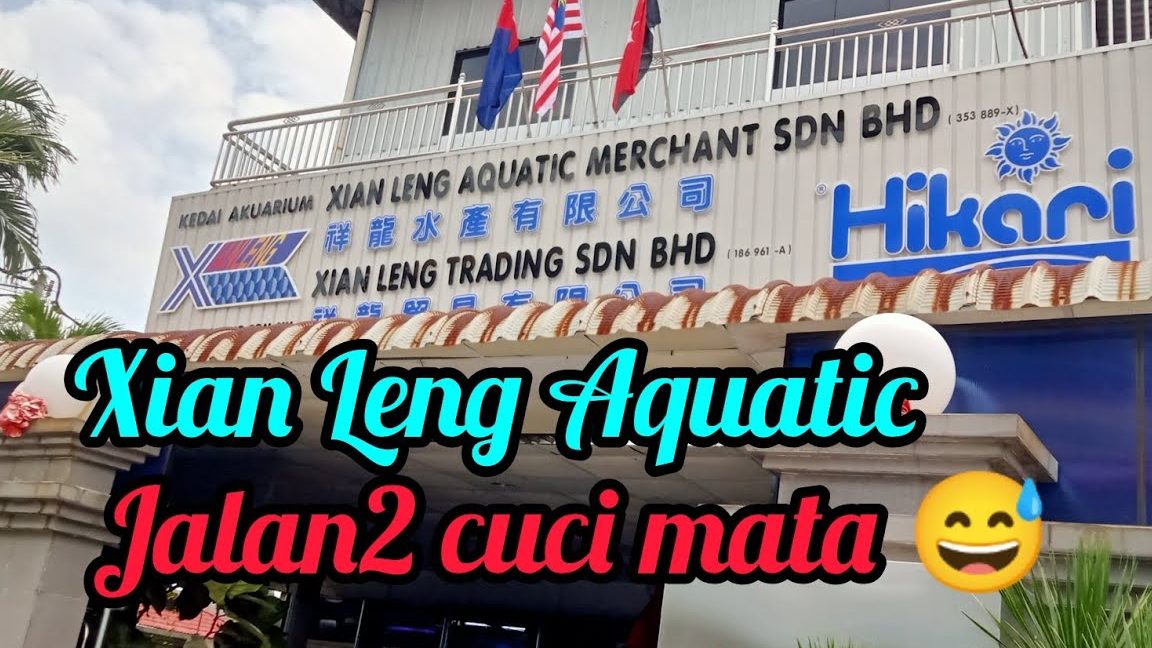 kedai aquarium terbaik di batu pahat